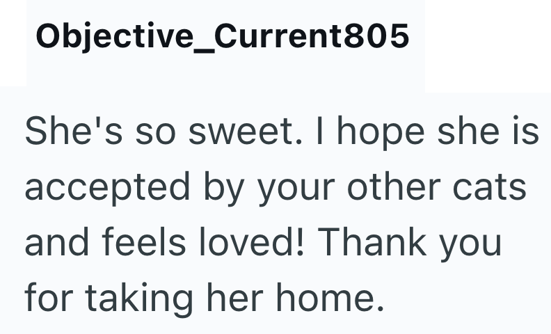 Objective_Current805 She's so sweet. I hope she is accepted by your other cats and feels loved! Thank you for taking her home.