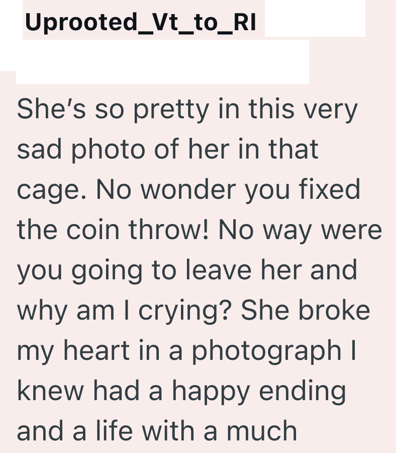 Uprooted_Vt_to_RI She's so pretty in this very sad photo of her in that cage. No wonder you fixed the coin throw! No way were you going to leave her and why am I crying? She broke my heart in a photograph I knew had a happy ending and a life with a much