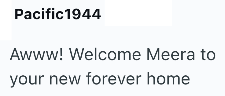 Pacific1944 Awww! Welcome Meera to your new forever home