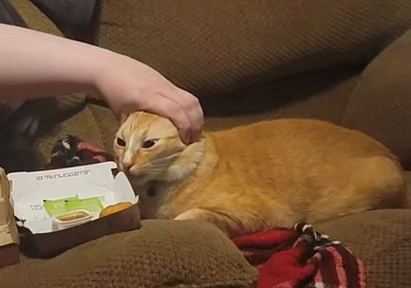 10 mcnuggers