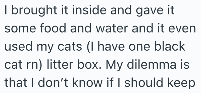 I brought it inside and gave it some food and water and it even used my cats (I have one black cat rn) litter box. My dilemma is that I don't know if I should keep