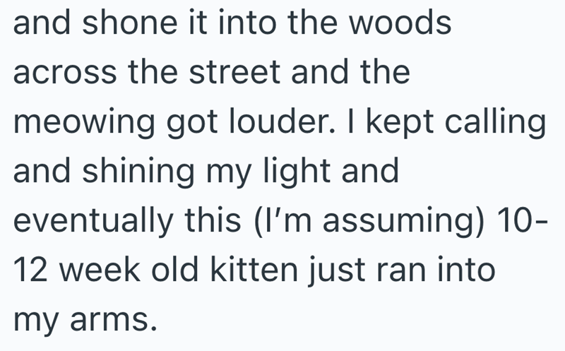 and shone it into the woods across the street and the meowing got louder. I kept calling and shining my light and eventually this (I'm assuming) 10- 12 week old kitten just ran into my arms.