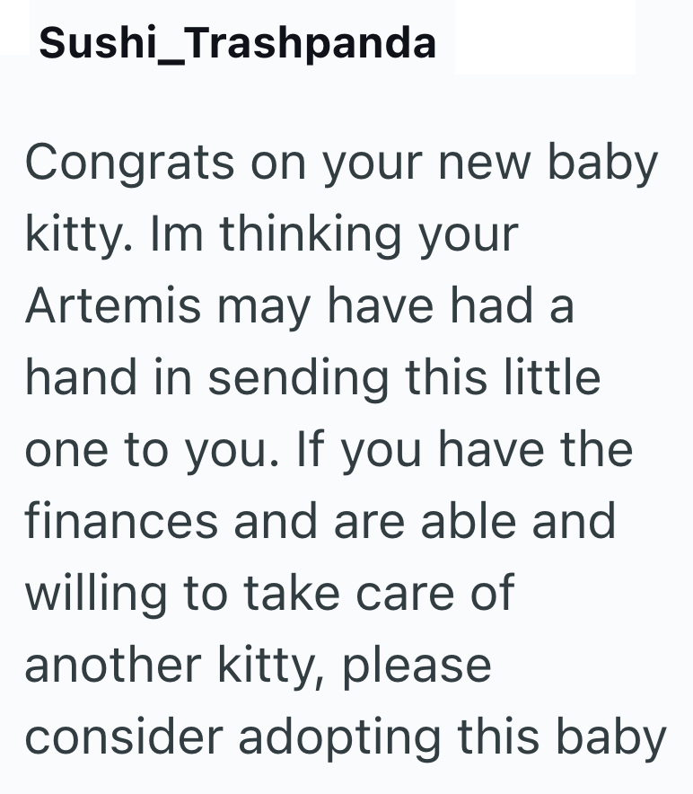 Sushi Trashpanda Congrats on your new baby kitty. Im thinking your Artemis may have had a hand in sending this little one to you. If you have the finances and are able and willing to take care of another kitty, please consider adopting this baby