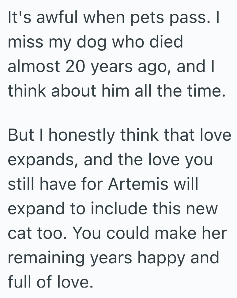 It's awful when pets pass. I miss my dog who died almost 20 years ago, and I think about him all the time. But I honestly think that love expands, and the love you still have for Artemis will expand to include this new cat too. You could make her remaining years happy and full of love.