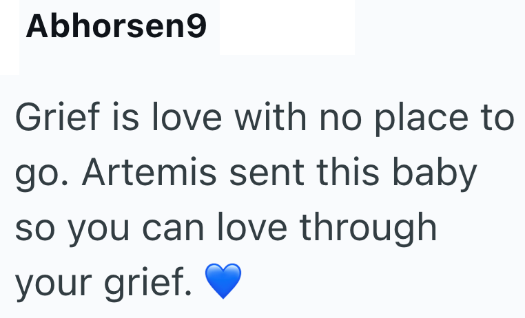 Abhorsen9 Grief is love with no place to go. Artemis sent this baby so you can love through your grief.