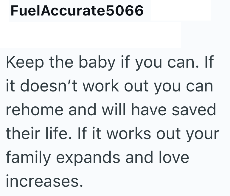 FuelAccurate 5066 Keep the baby if you can. If it doesn't work out you can rehome and will have saved their life. If it works out your family expands and love increases.