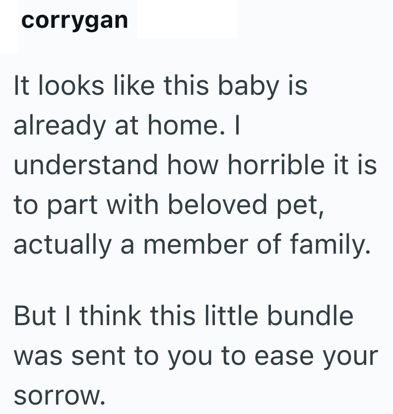 corrygan It looks like this baby is already at home. I understand how horrible it is to part with beloved pet, actually a member of family. But I think this little bundle was sent to you to ease your sorrow.