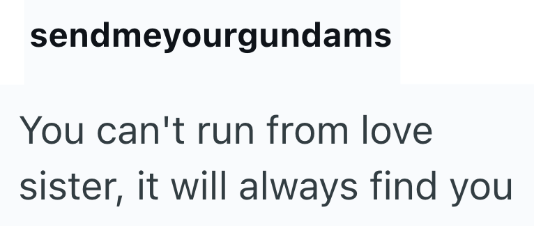 sendmeyourgundams You can't run from love sister, it will always find you