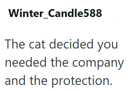 Winter_Candle588 The cat decided you needed the company and the protection.