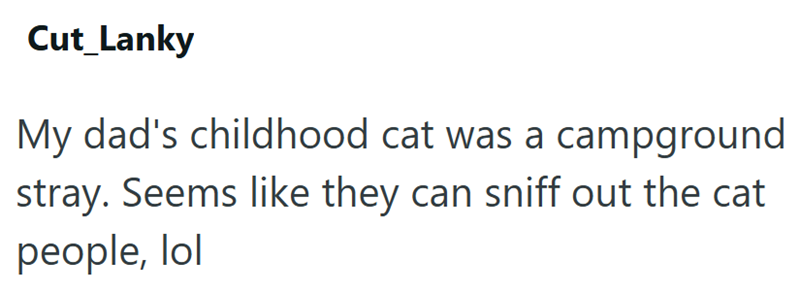 Cut Lanky My dad's childhood cat was a campground stray. Seems like they can sniff out the cat people, lol