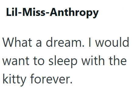 Lil-Miss-Anthropy What a dream. I would want to sleep with the kitty forever.