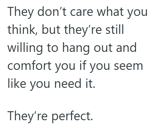 They don't care what you think, but they're still willing to hang out and comfort you if you seem like you need it. They're perfect.