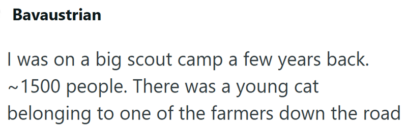 Bavaustrian I was on a big scout camp a few years back. ~1500 people. There was a young cat belonging to one of the farmers down the road