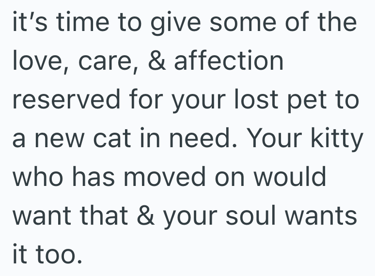it's time to give some of the love, care, & affection reserved for your lost pet to a new cat in need. Your kitty who has moved on would want that & your soul wants it too.