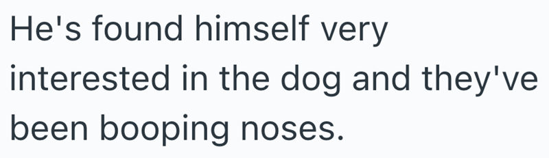 He's found himself very interested in the dog and they've been booping noses.