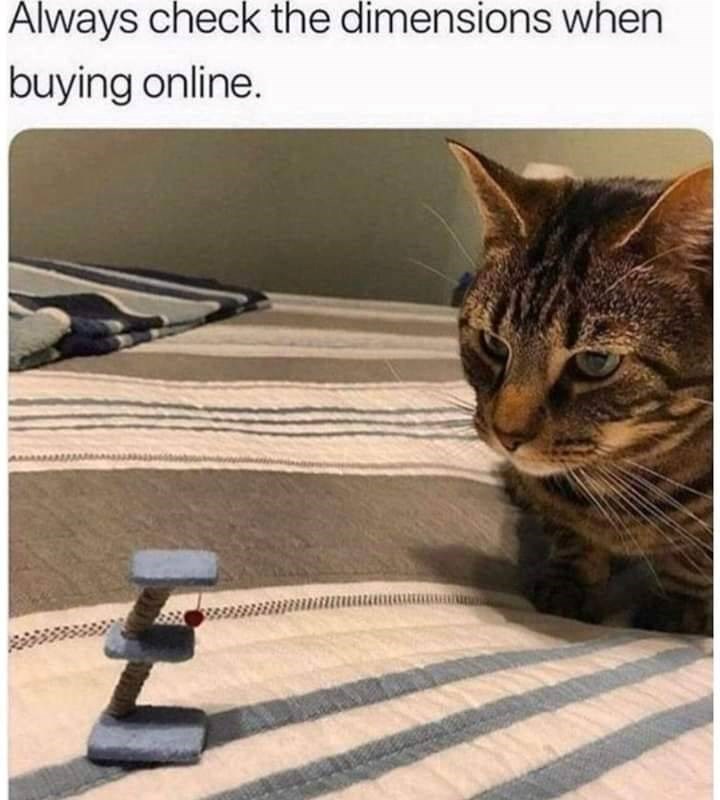 Always check the dimensions when buying online.
