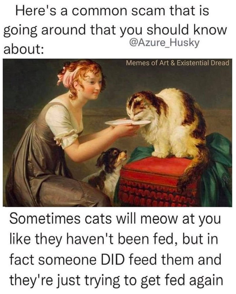 Here's a common scam that is going around that you should know about: @Azure_Husky Memes of Art & Existential Dread Sometimes cats will meow at you like they haven't been fed, but in fact someone DID feed them and they're just trying to get fed again