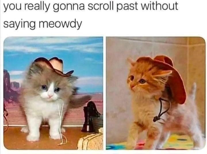you really gonna scroll past without saying meowdy