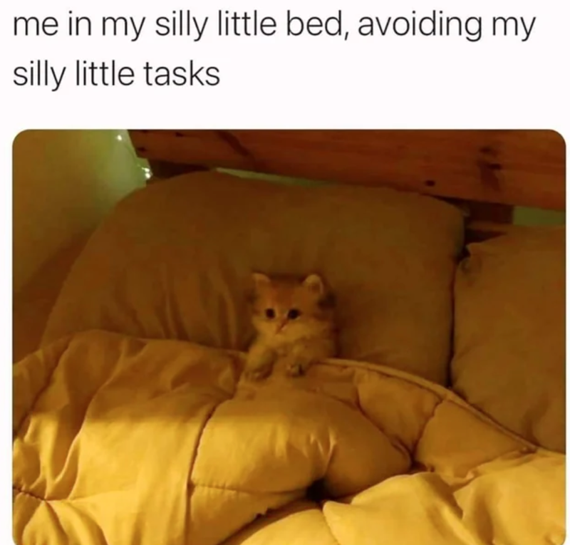 me in my silly little bed, avoiding my silly little tasks