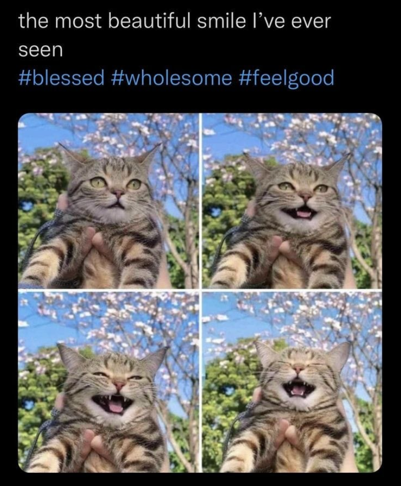 the most beautiful smile I've ever seen #blessed #wholesome #feelgood