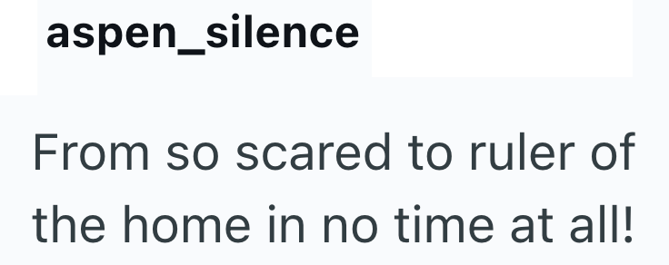 aspen_silence From so scared to ruler of the home in no time at all!