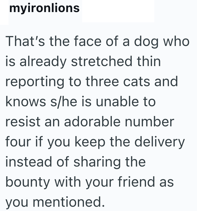 myironlions That's the face of a dog who is already stretched thin reporting to three cats and knows s/he is unable to resist an adorable number four if you keep the delivery instead of sharing the bounty with your friend as you mentioned.