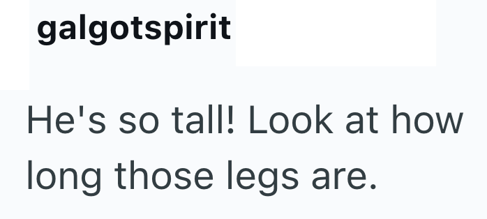 galgotspirit He's so tall! Look at how long those legs are.