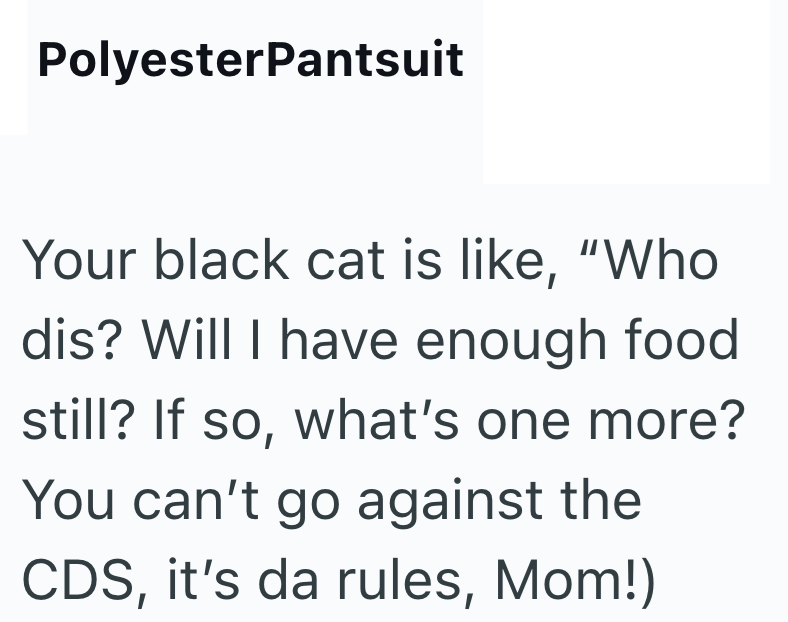 PolyesterPantsuit Your black cat is like, "Who dis? Will I have enough food still? If so, what's one more? You can't go against the CDS, it's da rules, Mom!)