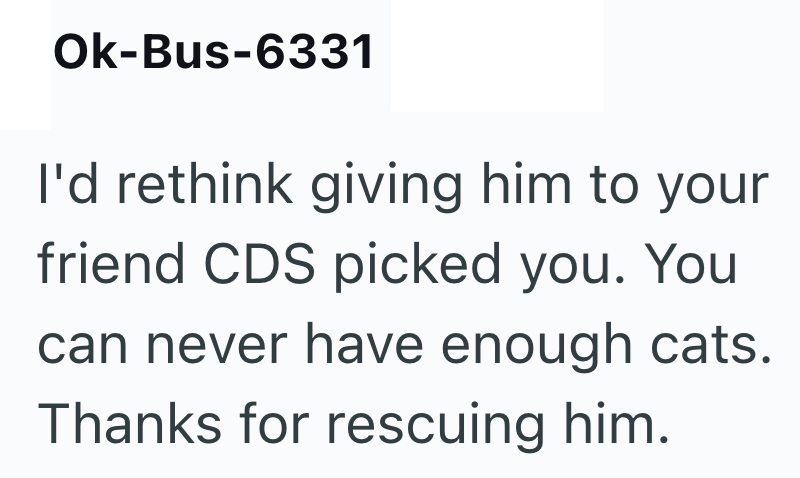 Ok-Bus-6331 I'd rethink giving him to your friend CDS picked you. You can never have enough cats. Thanks for rescuing him.