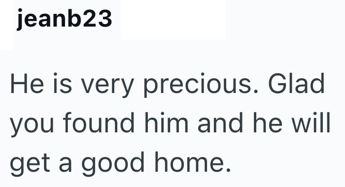 jeanb23 He is very precious. Glad you found him and he will get a good home.