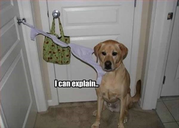 Ican explain..