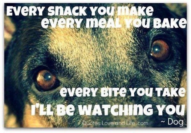 EVERY SNACK YOU MAKE eveRY MEAL YOU BAKE eveRY BITE YOU TAKE I'LL BE WATCHING YOU Quotes Love and Life.com ~ Dog