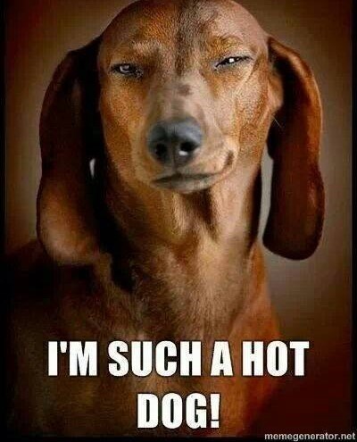 I'M SUCH A HOT DOG! memegenerator.net
