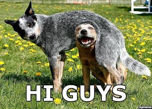 HI GUYS zipmeme