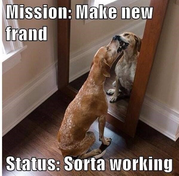 Mission: Make new frand Status: Sorta working