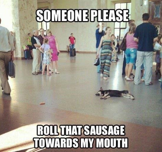 SOMEONE PLEASE ROLL THAT SAUSAGE TOWARDS MY MOUTH