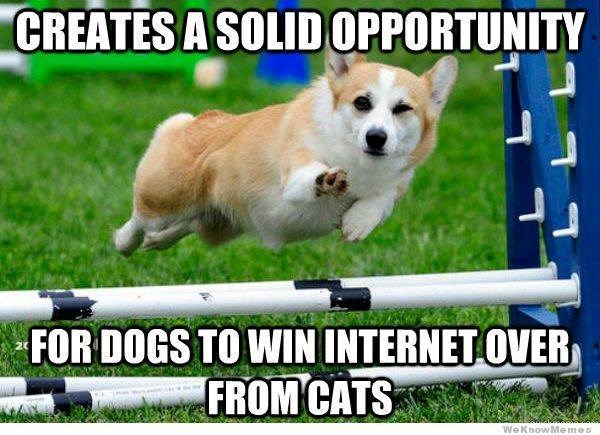 CREATES A SOLID OPPORTUNITY FOR DOGS TO WIN INTERNET OVER FROM CATS WeKnowMemes