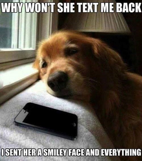WHY WON'T SHE TEXT ME BACK ISENT HER A SMILEY FACE AND EVERYTHING