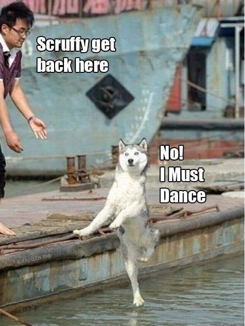 sofapizza me Scruffy get back here No! I Must Dance