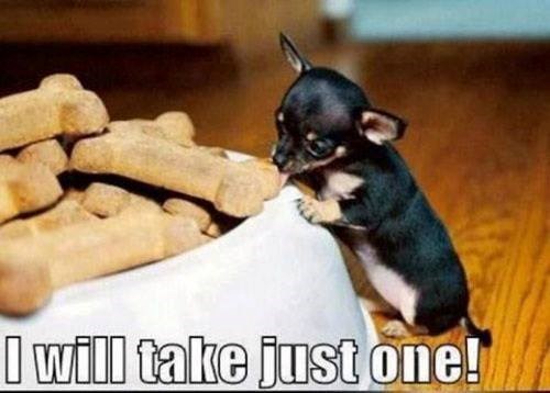I will take just one!