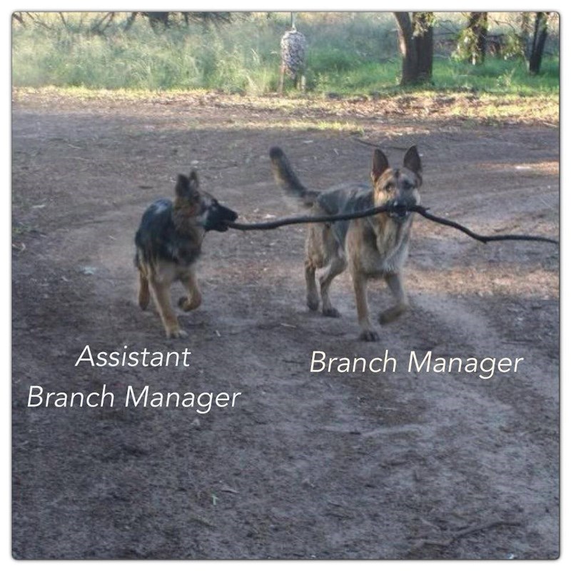 Assistant Branch Manager Branch Manager