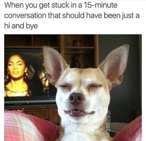 When you get stuck in a 15-minute conversation that should have been just a hi and bye @K9leather