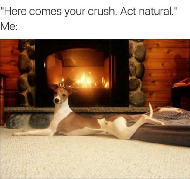 "Here comes your crush. Act natural." Me: