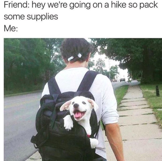 Friend: hey we're going on a hike so pack some supplies Me: