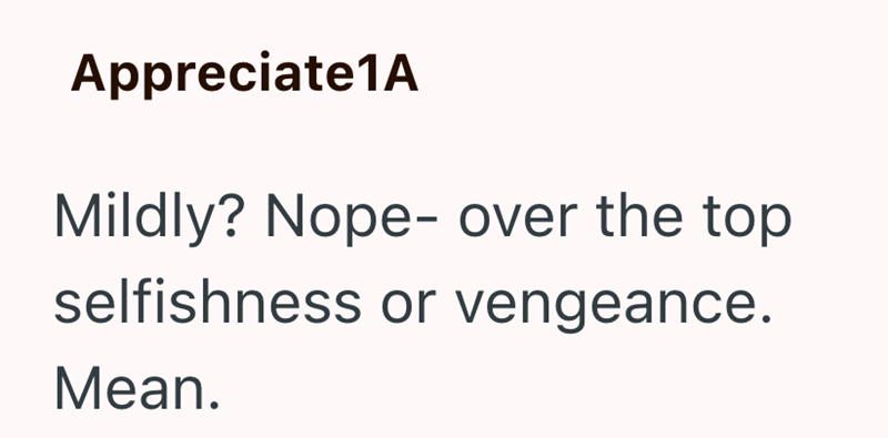Appreciate1A Mildly? Nope- over the top selfishness or vengeance. Mean.