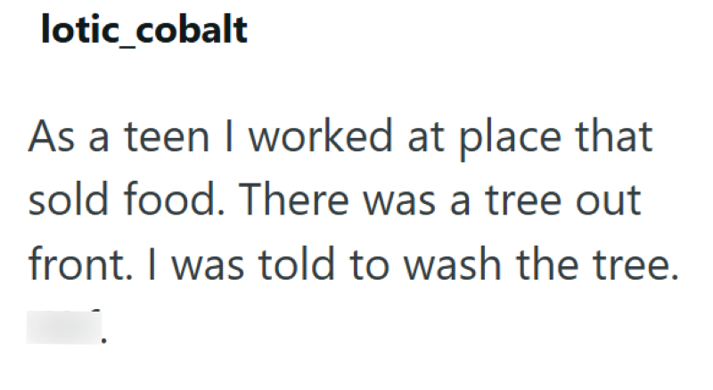 lotic_cobalt As a teen I worked at place that sold food. There was a tree out front. I was told to wash the tree.