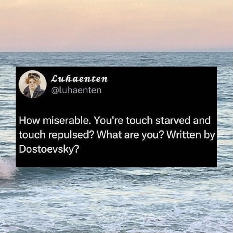 Luhaenten @luhaenten How miserable. You're touch starved and touch repulsed? What are you? Written by Dostoevsky?