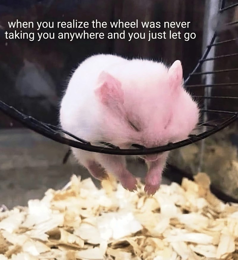 when you realize the wheel was never taking you anywhere and you just let go
