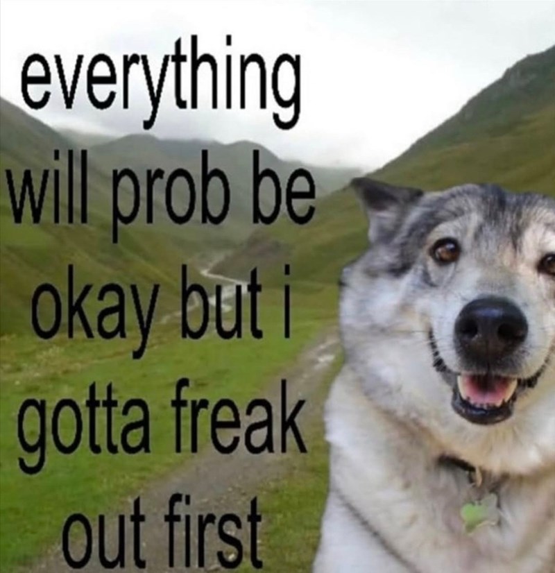 everything will prob be okay but gotta freak out first