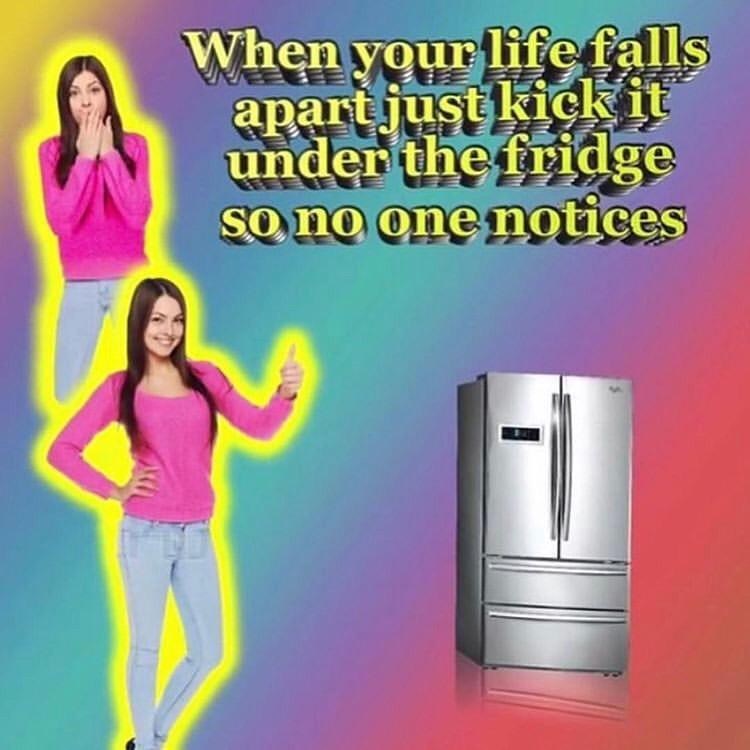 When your life falls apart just kick it under the fridge so no one notices